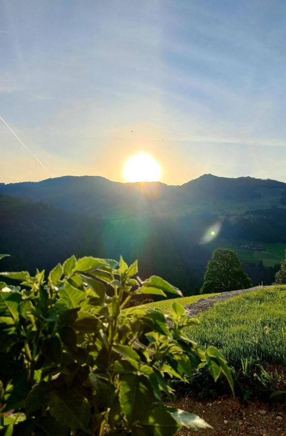 Bergappartement Kink Hopfgarten im Brixental Kültér fotó