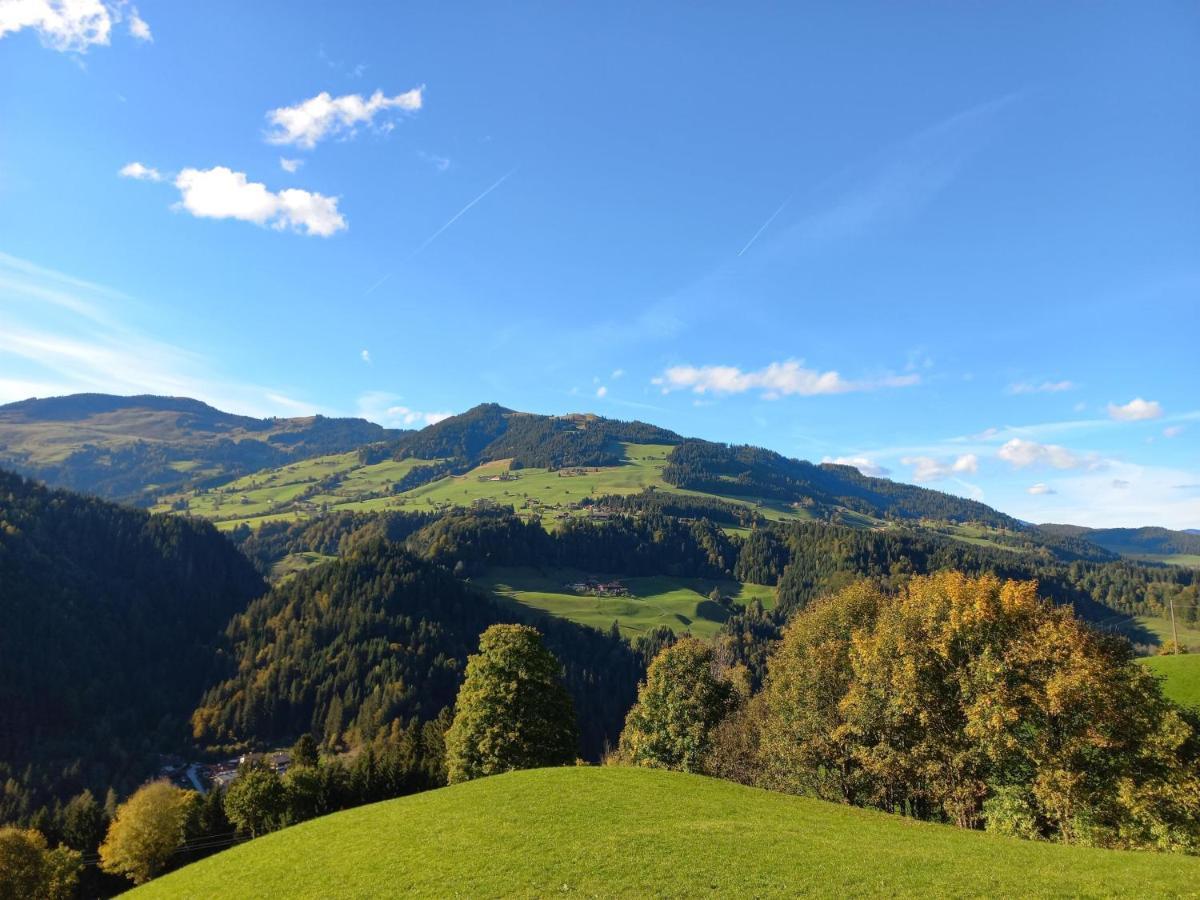 Bergappartement Kink Hopfgarten im Brixental Kültér fotó