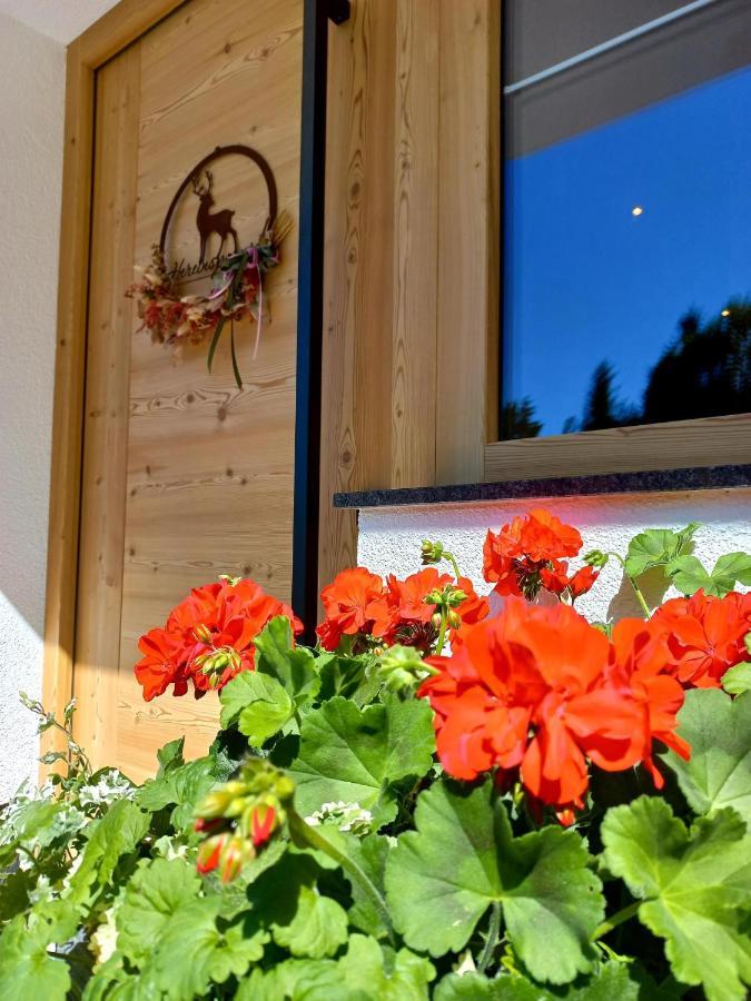 Bergappartement Kink Hopfgarten im Brixental Kültér fotó