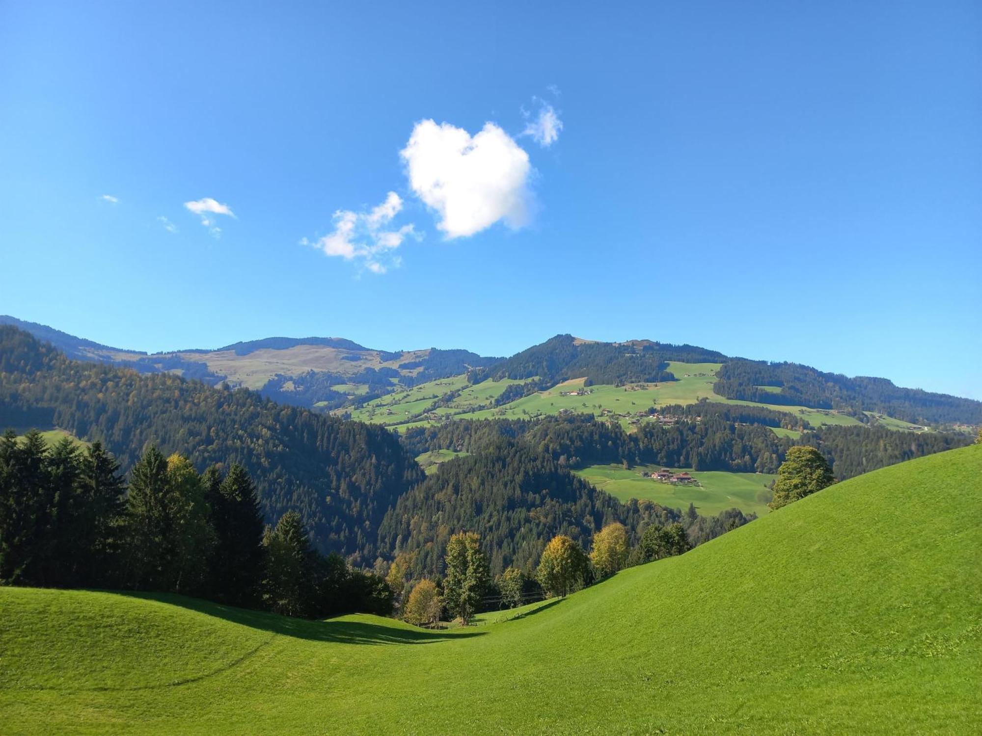 Bergappartement Kink Hopfgarten im Brixental Kültér fotó