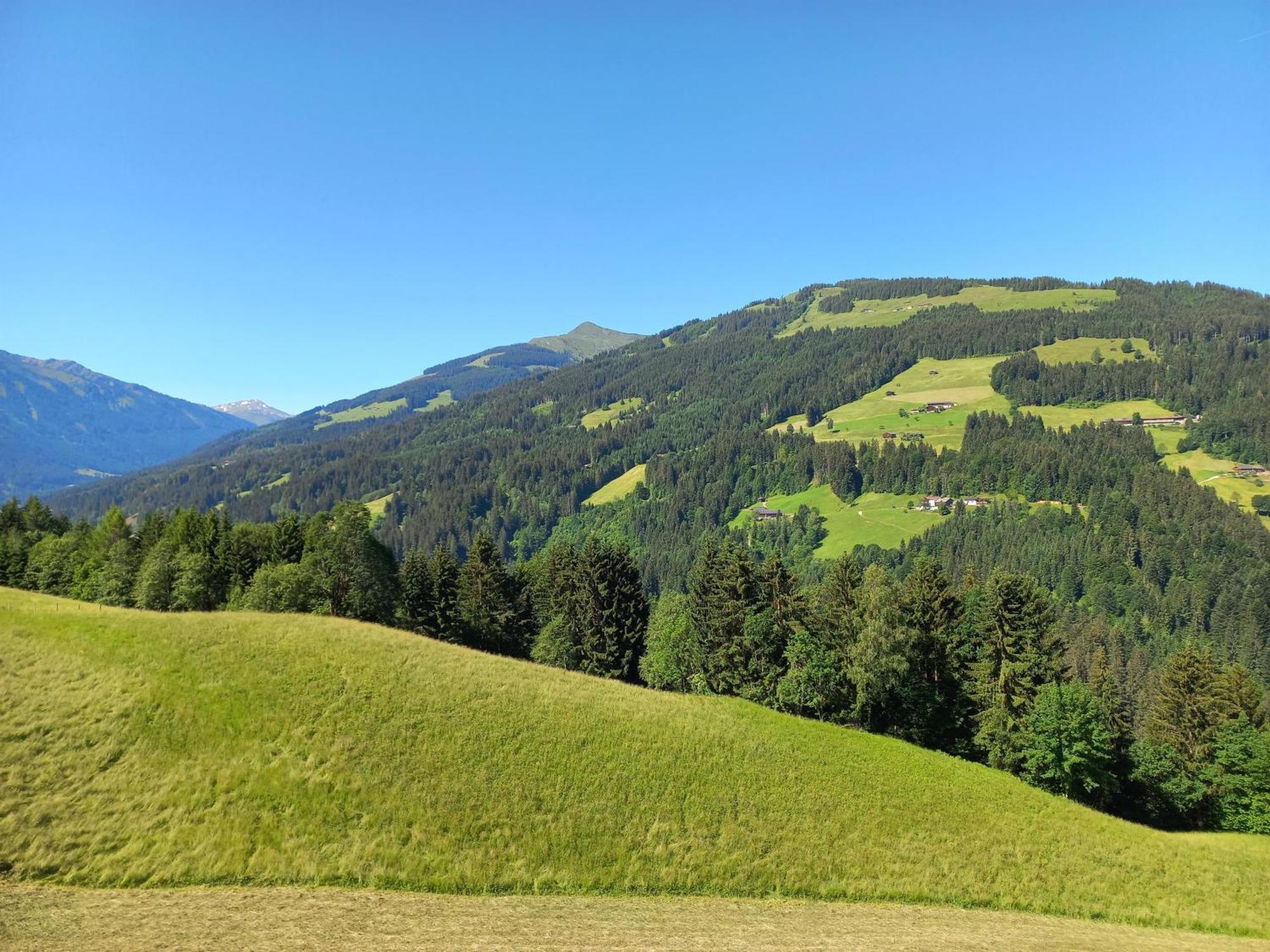 Bergappartement Kink Hopfgarten im Brixental Kültér fotó